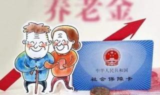 农村养老金怎么查询(农村养老金怎么查询交了多少年)