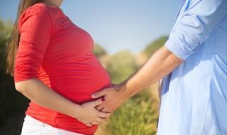 孕妇营养食谱,4个月孕妇营养食谱