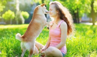 好养的中小型犬,好养的中小型犬有哪些品种