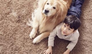 家里有狗怎么养小孩 家里有孩子怎么养狗