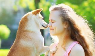 德国牧羊犬怎么养 德国牧羊犬怎样养