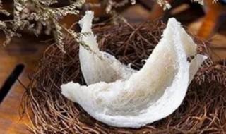 怎样炖煮燕窝（怎样炖煮燕窝?）