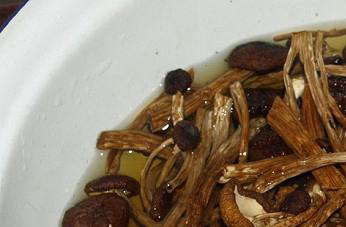 茶树菇的营养价值