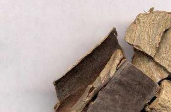 杜仲性味归经 杜仲的功效与作用 杜仲的食用方法